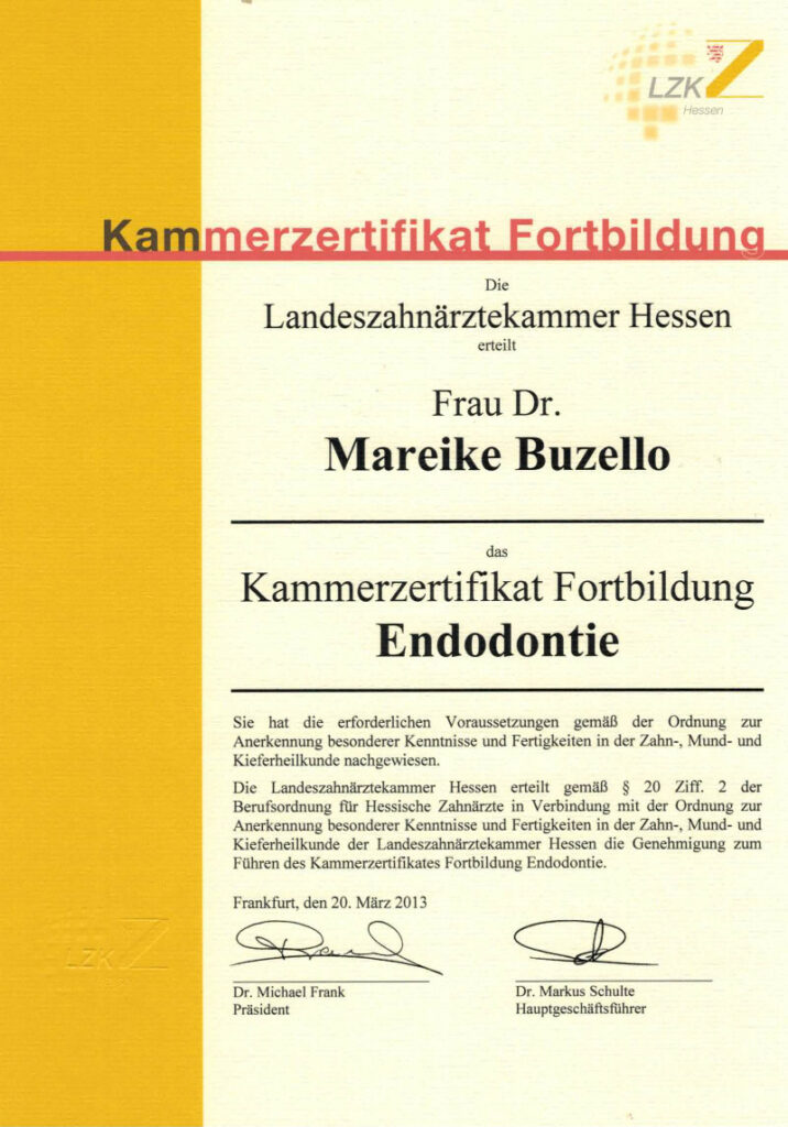 Zahnarzt Oberursel Dr Mareike Buzello Zahnärztin Endodontie 2013